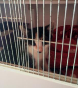 Fienchen Bild von Fienchen