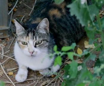 Cindy Bild von Cindy