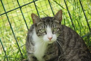 Bild von Bittor