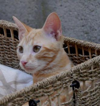 Daichi Bild von Daichi