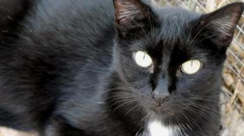 Sally Bild von Sally
