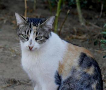 Lotte Bild von Lotte