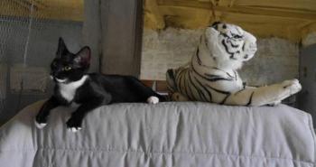 Sinah Bild von Sinah