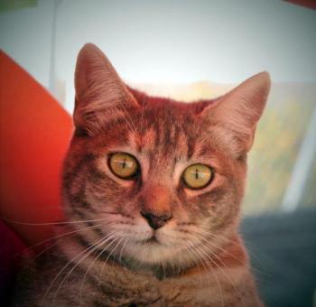 Rosita Bild von Rosita