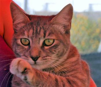 Rosita Bild von Rosita