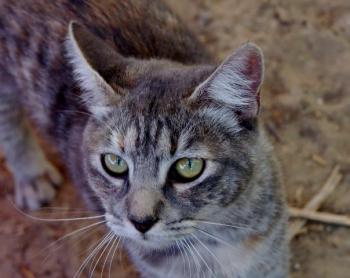 Rosita Bild von Rosita