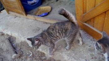 Rosita Bild von Rosita