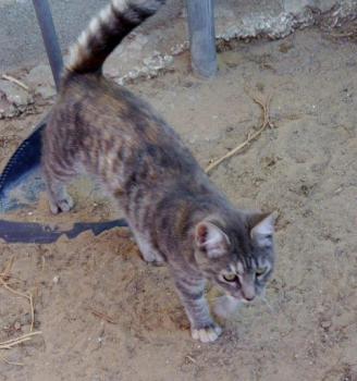Rosita Bild von Rosita