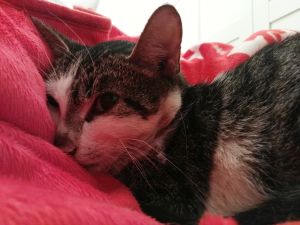 Clarita Bild von Clarita