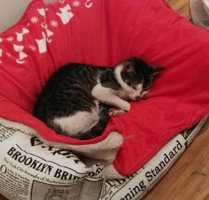 Clarita Bild von Clarita