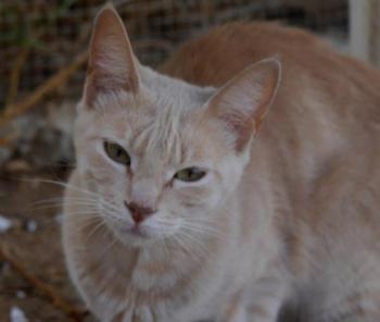 Mabelle Bild von Mabelle