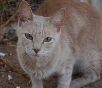 Mabelle Bild von Mabelle