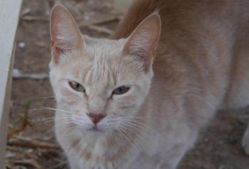 Mabelle Bild von Mabelle