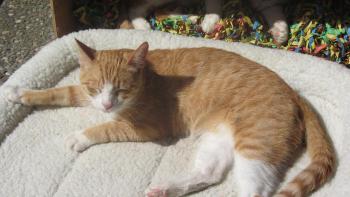 Brody Bild von Brody