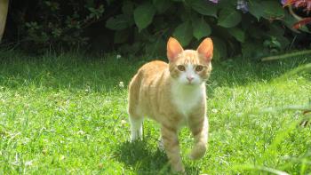 Brody Bild von Brody