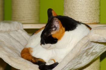 Anie Bild von Anie