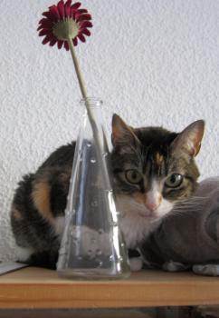 Nora Bild von Nora