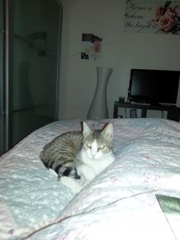 Bild von Selene