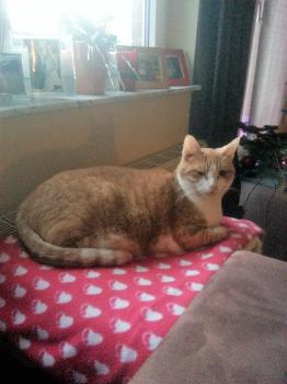 Bild von Athos