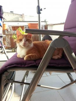 Bild von Athos