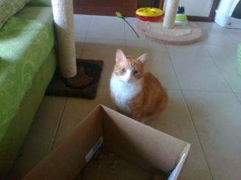 Brody Bild von Brody