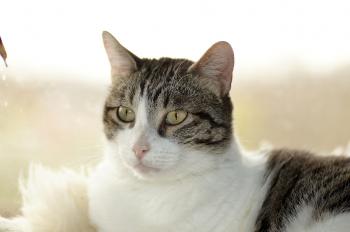 Irina Bild von Irina