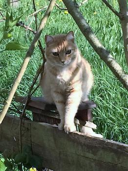 Bild von Kevin