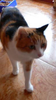 Milindi Bild von Milindi