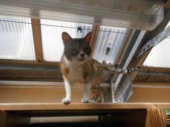 Gretel Bild von Gretel