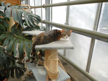Gretel Bild von Gretel