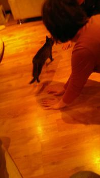 Daisy Bild von Daisy