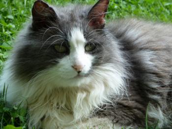 Zeus Bild von Zeus