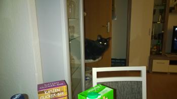 Bild von Caritina