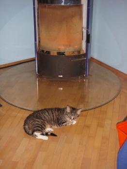 Josepo Bild von Josepo