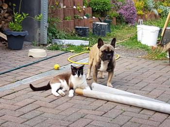 Taps-Boliche Bild von Taps-Boliche