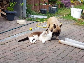 Taps-Boliche Bild von Taps-Boliche