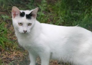 Atreyu Bild von Atreyu