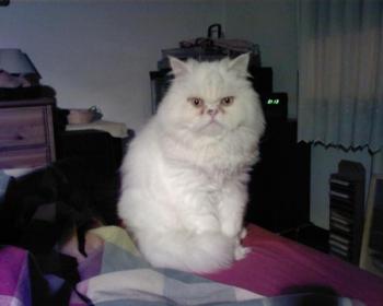 Rocky Bild von Rocky