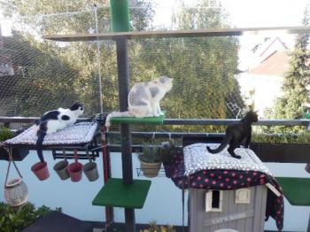 Picara Bild von Picara