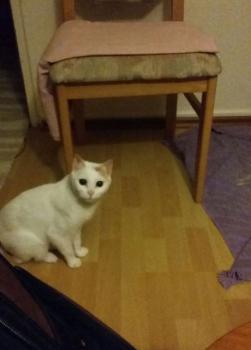 Yuki Bild von Yuki