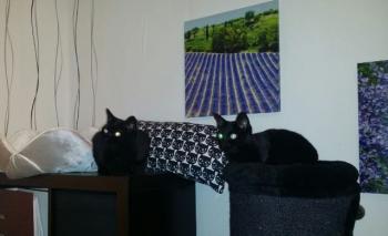 Lucia Bild von Lucia