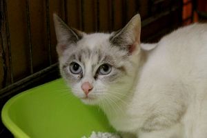 Ariadna Bild von Ariadna
