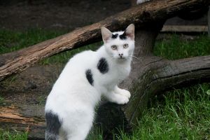 Atreyu Bild von Atreyu