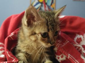 Bild von Hilary