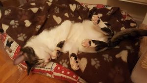 Clarita Bild von Clarita