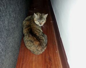 Agueda Bild von Agueda