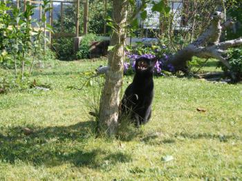 Rodolfo Bild von Rodolfo