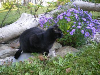 Rodolfo Bild von Rodolfo