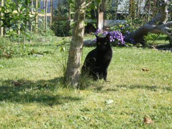 Rodolfo Bild von Rodolfo