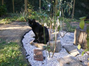 Rodolfo Bild von Rodolfo